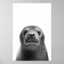 Search for lions posters Ocean
