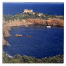 Search for french blue tiles Mediterranean
