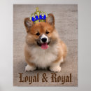 Search for corgi posters Cute