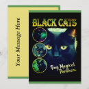 Search for funny graphics cards Black cat