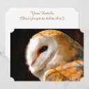 Search for barn owl invitations Wild