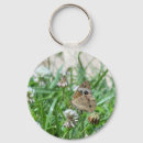 Search for common key rings Butterfly