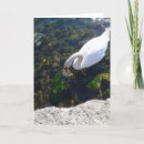 Search for gaze cards Nature