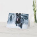 Search for black german shepherd cards Dog