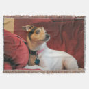 Search for jack russell blankets Canine