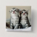 Search for cat pictures badges Pets