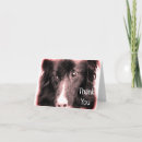 Search for collies cards Animal