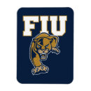 Search for panthers magnets Roary the panther