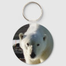 Search for polar bears key rings Arctic