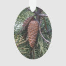 Search for conifer christmas tree decorations Cone
