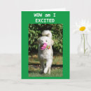 Search for new career cards Promotion