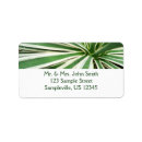 Search for agave return address labels Plant
