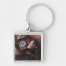 Search for orangutan key rings Pongo pygmaeus