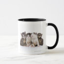 Search for japanese cat mugs Cats