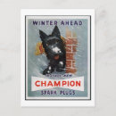 Search for champion postcards Vintage