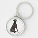 Search for great dane key rings Puppy