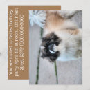 Search for tzu invitations Cute