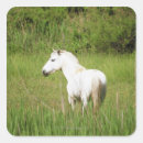 Search for horse pictures stickers Wild west