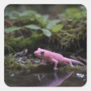 Search for down stickers Wildlife