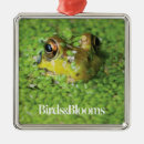 Search for toad christmas tree decorations Nature