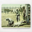 Search for cattle electronics Photographer