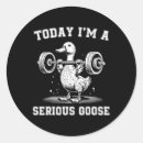 Search for serious stickers Gym