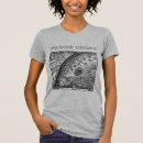 Search for flammarion Universe