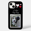 Search for my cat electronics Dog