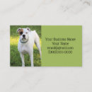 Search for boxer business cards Canine