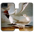 Search for gull iphone cases America