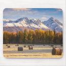 Search for bale electronics Agriculture