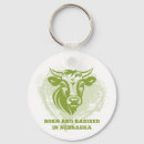 Search for beef rounded key rings Cattle