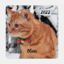 Search for orange tabby cat christmas tree decorations Animal