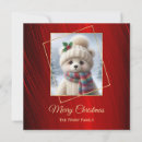 Search for cute bear christmas cards Red