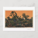 Search for mohave postcards View