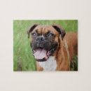 Search for boxer dog puzzles Fun