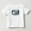 Search for captivating tshirts White
