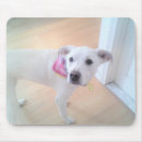 Search for sweet dog mousepads Beautiful