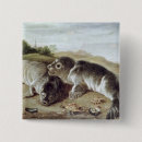 Search for animals shell badges Shells