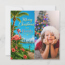 Search for florida christmas cards Palm tree christmas