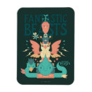 Search for suitcases magnets Fantastic beasts