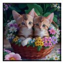 Search for kittens in basket posters Cute