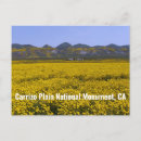 Search for plains postcards Landscape