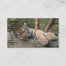 Search for beast business cards Beautiful