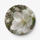 Search for apple blossom plates Nature