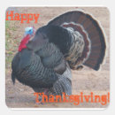 Search for thanksgiving photo stickers Turkey