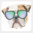 Search for english bulldog puppy stickers Dog lover