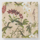 Search for taupe coasters Botanical