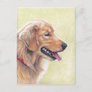 Search for retriever dog postcards Portrait