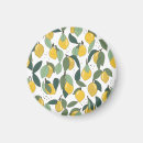 Search for lemon magnets Pattern